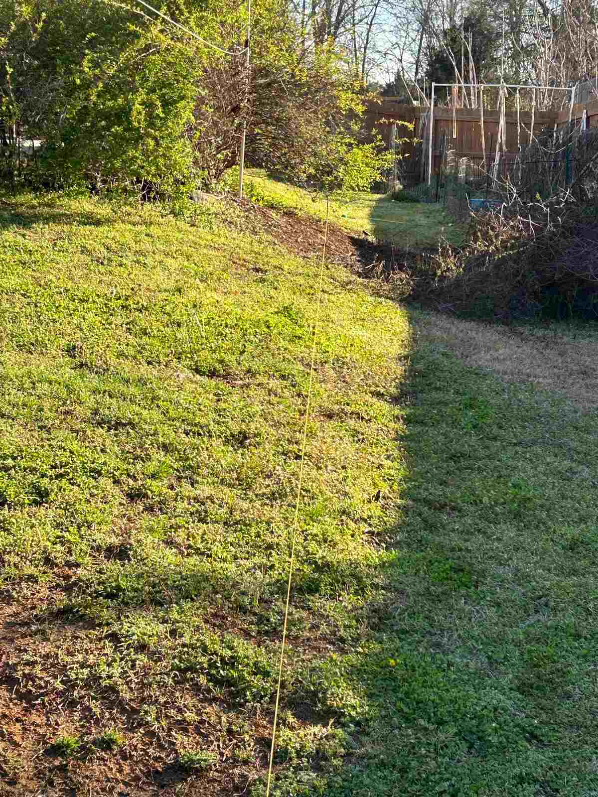BEFORE view of the Murfreesboro gravel driveway project